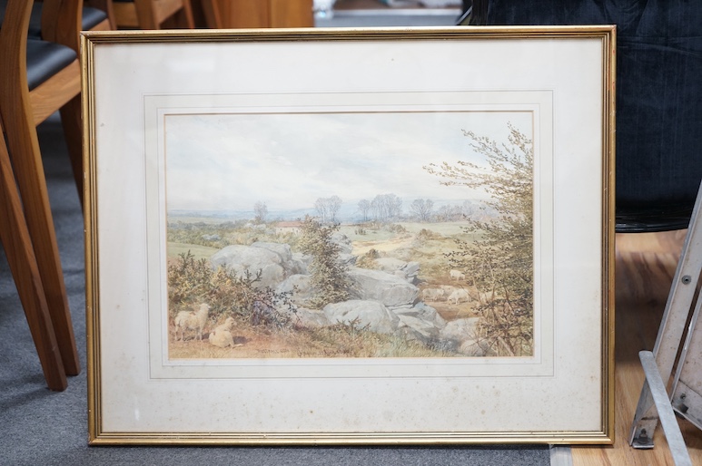 G R Smith, watercolour, Rusthall Common, signed and dated 25th April 1886, 32 x 48cm. Condition - fair to good